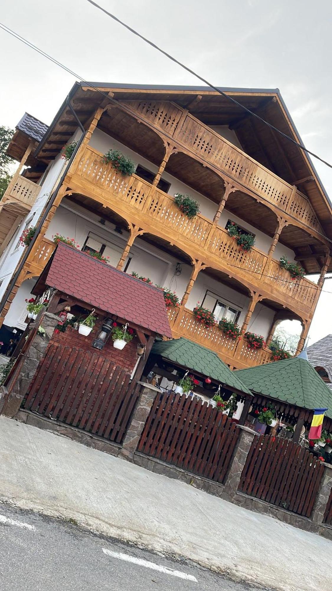 Casa Ionela Petreus Hotel Poienile Izei Exterior photo